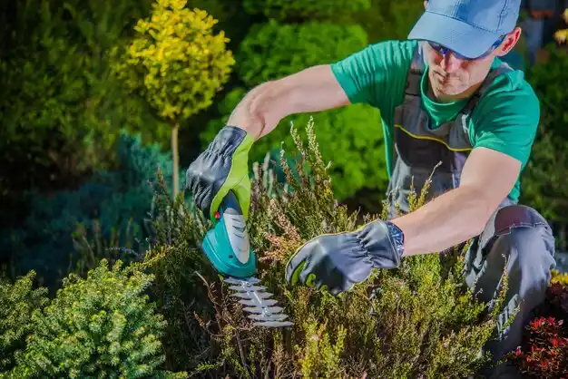 landscaping services Finneytown